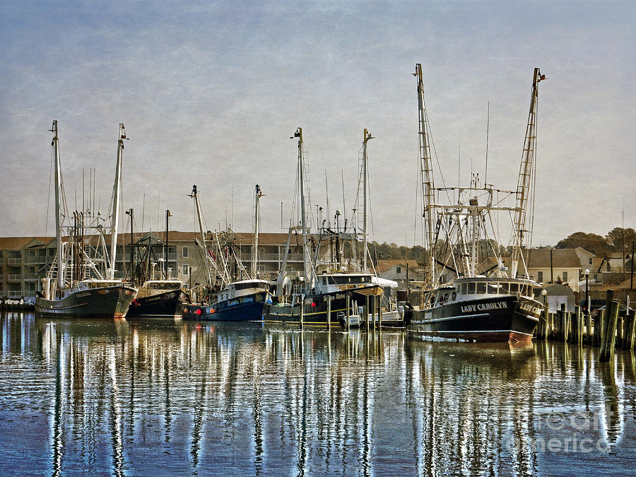 Transportation Photograph - Fishing Boats by Dawn Gari