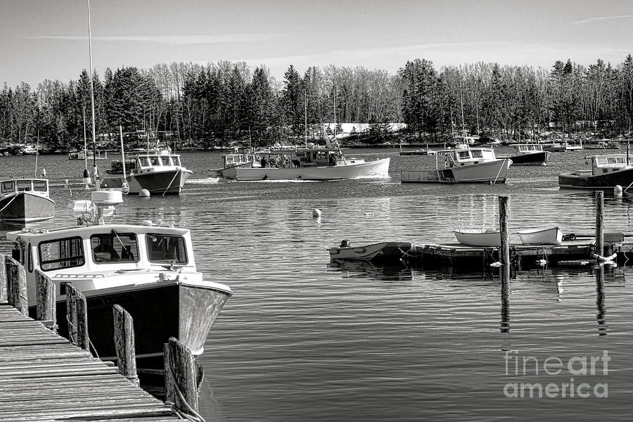 Fishing Boats in Friendship Harbor in Winter Photograph by Olivier Le Queinec