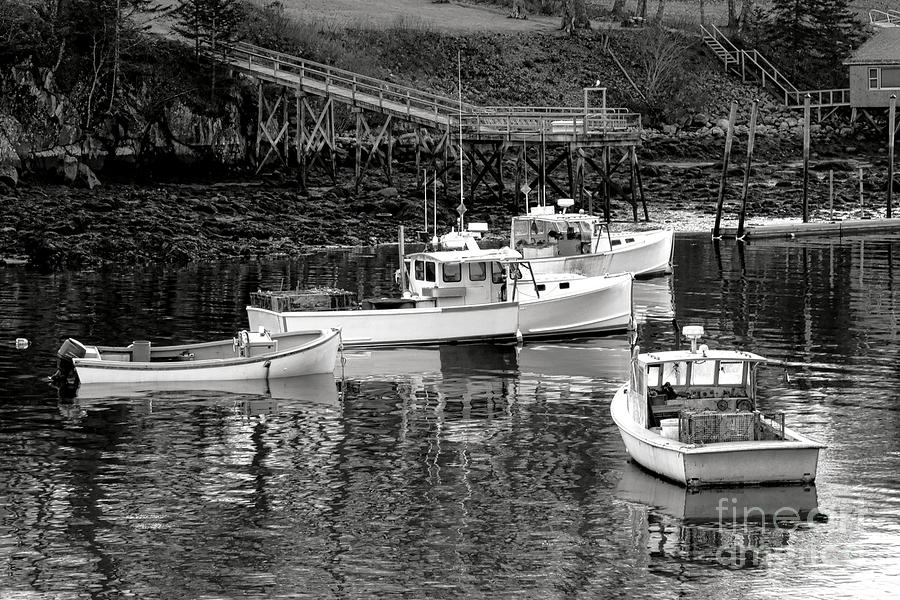Fishing Boats in Maine Port Photograph by Olivier Le Queinec