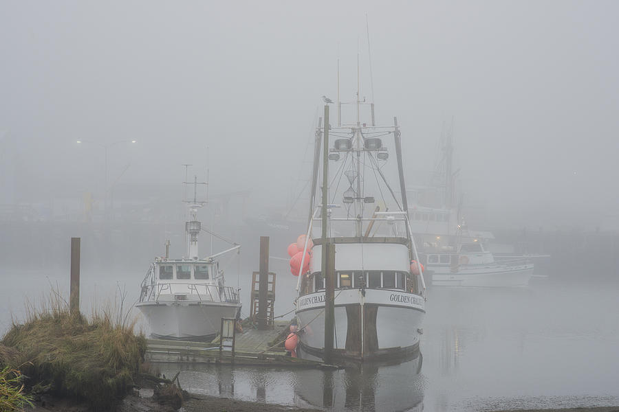 Fishing Boats in the Fog Photograph by Robert Potts