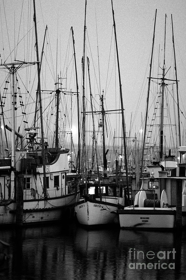 Fishing Boats moored at Fishermans Terminal Photograph by Jim Corwin