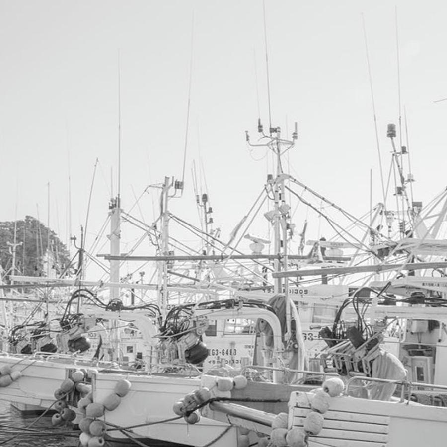 Sea Photograph - Fishing Boats 
#fishingboats #sea by Yuki Shinohara