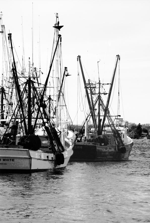 Fishing Boats Photograph