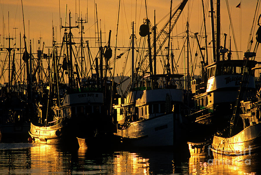 Fishing Boats Sunset Light Photograph by Jim Corwin