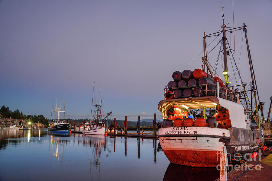 Fishing boats waking up for the day Photograph by Paul Quinn