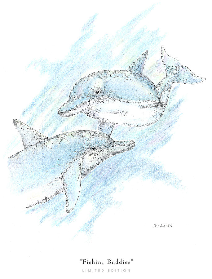 Dolphin Drawing - Fishing Buddies by David Weaver