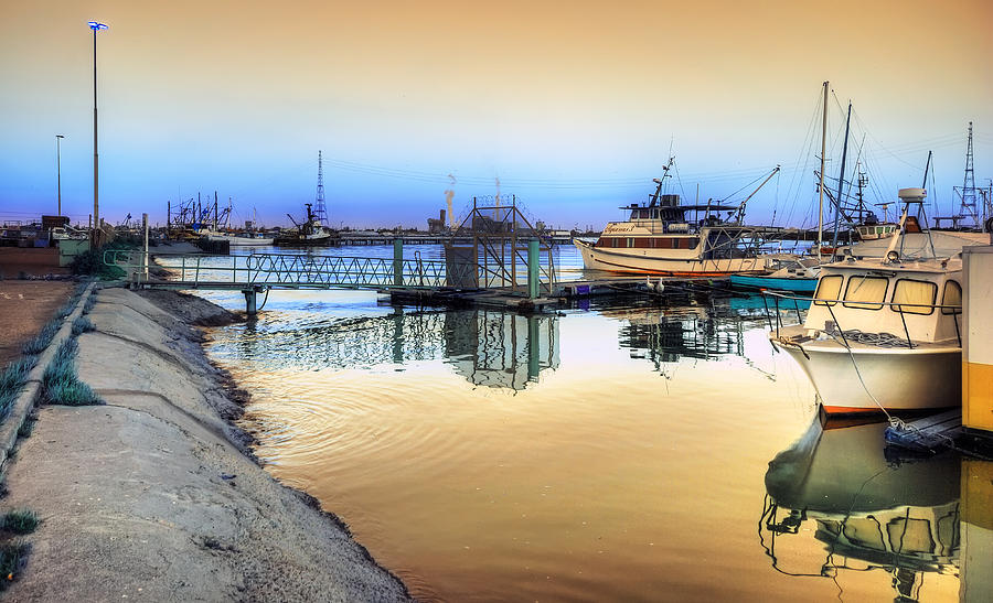 Fishing Fleet at Dawn Photograph by Wayne Sherriff