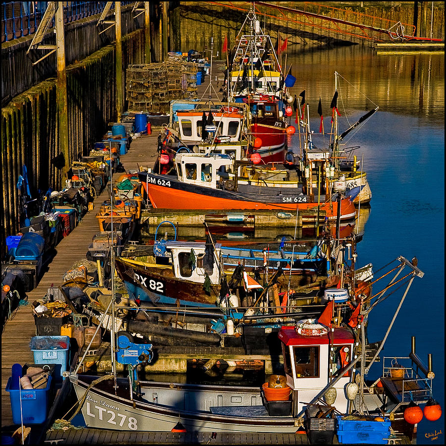 Fishing Fleet Photograph by Chris Lord