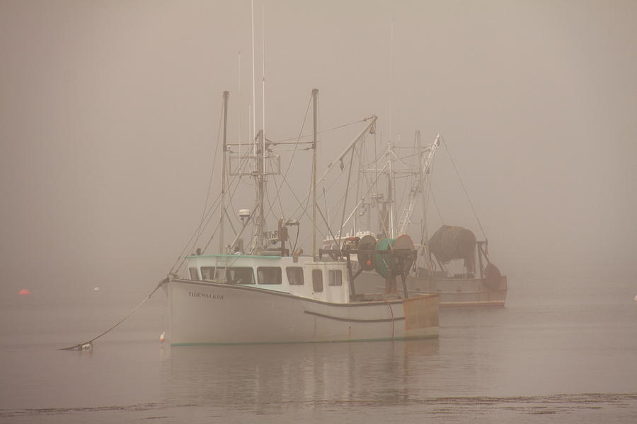 Fishing Fleet Fogged In Photograph by Doug Mills