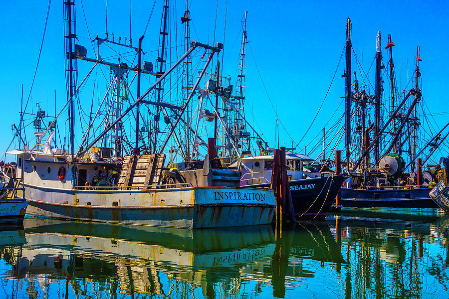 Fishing Fleet In Harbor Photograph by Garry Gay
