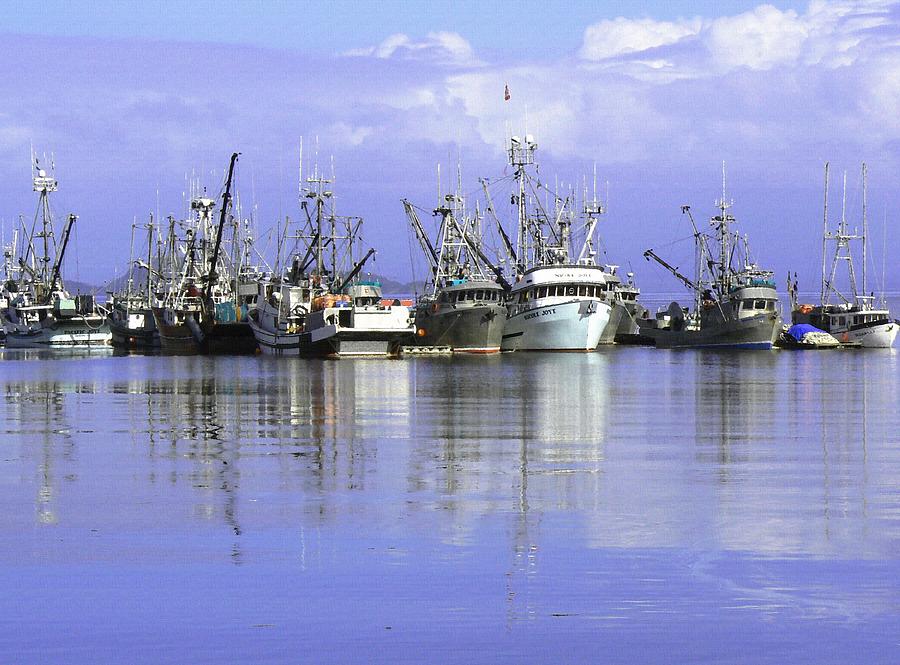 Fishing Fleet Vancouver Island BC Photograph by Barbara St Jean