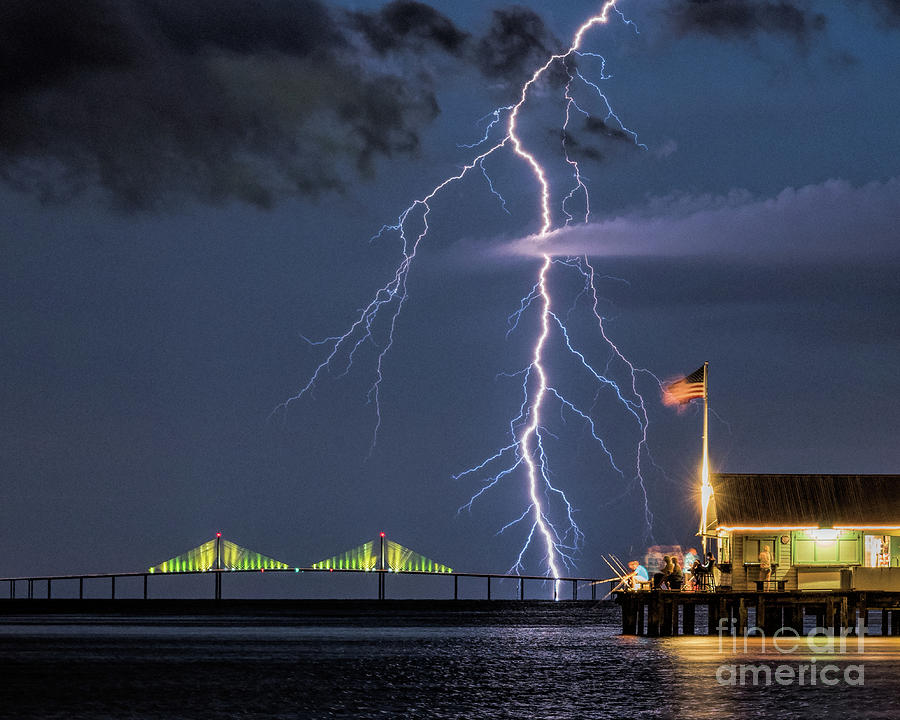 Tampa Photograph - Fishing for a Strike by Damon Powers