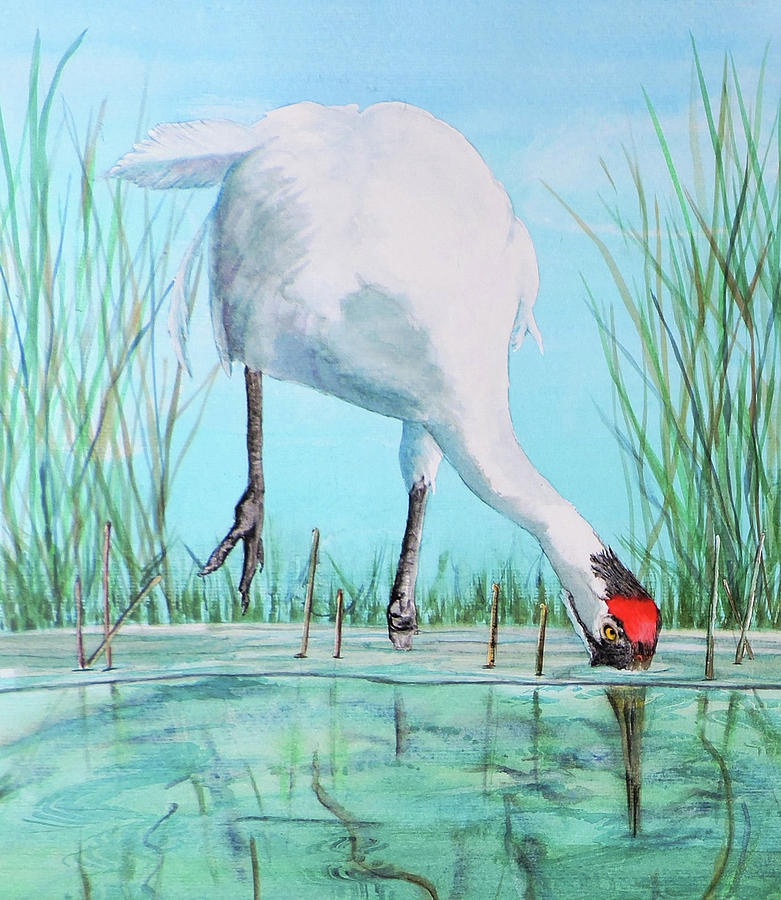 Nature Painting - Fishing for Food by Vicky Lilla