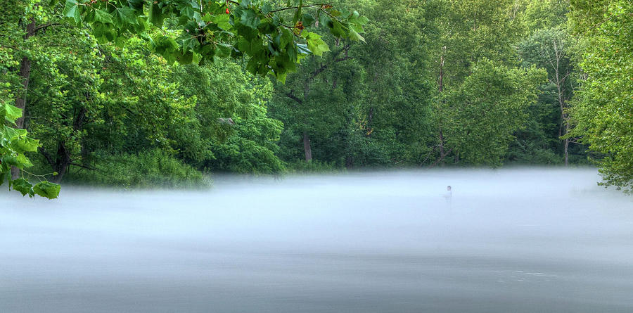 Fishing in the Fog Photograph by Steve Stuller