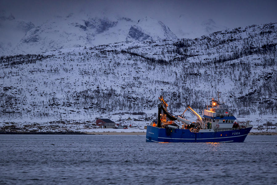 Fishing in Tromso Photograph by Mark Llewellyn