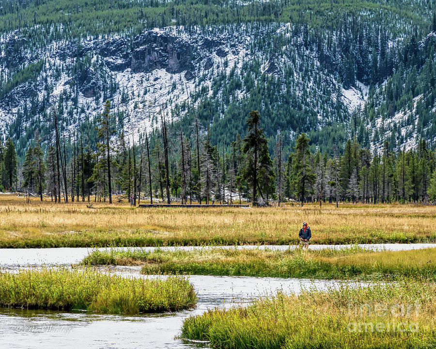 Fishing in Yellowstone Photograph by Pete Wardrope - Pixels