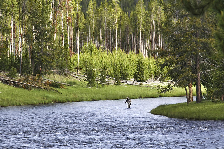 Fishing in Yellowstone Photograph by Wes and Dotty Weber