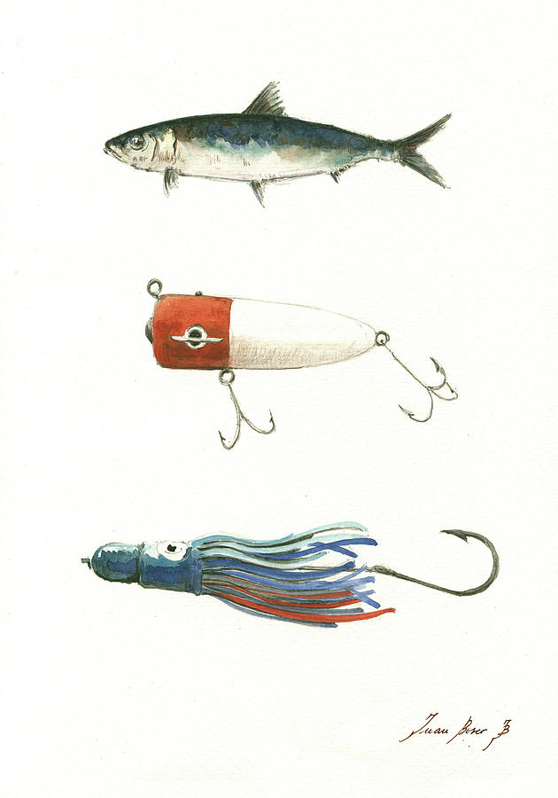 Fish Painting - Fishing lures by Juan Bosco