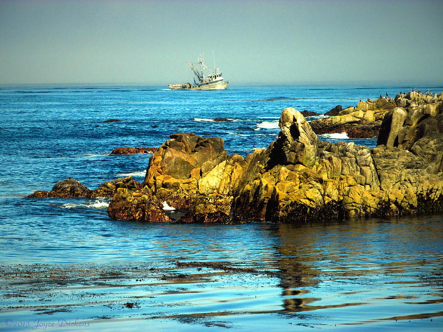 Fishing Monterey Bay CA Photograph by Joyce Dickens
