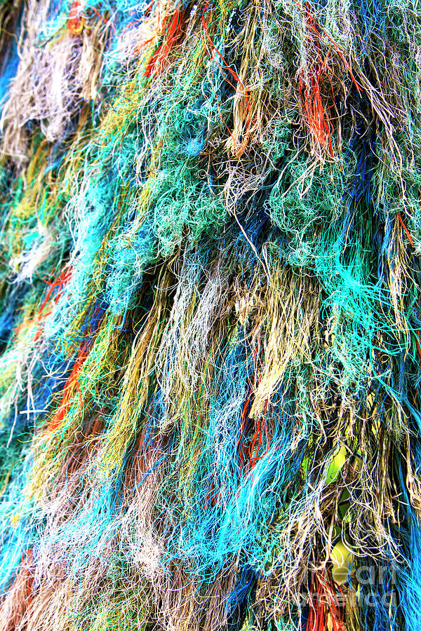 Fishing Net Colors Photograph by John Rizzuto
