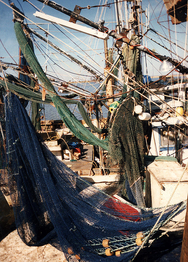 Fishing Nets Photograph by Anne Cameron Cutri