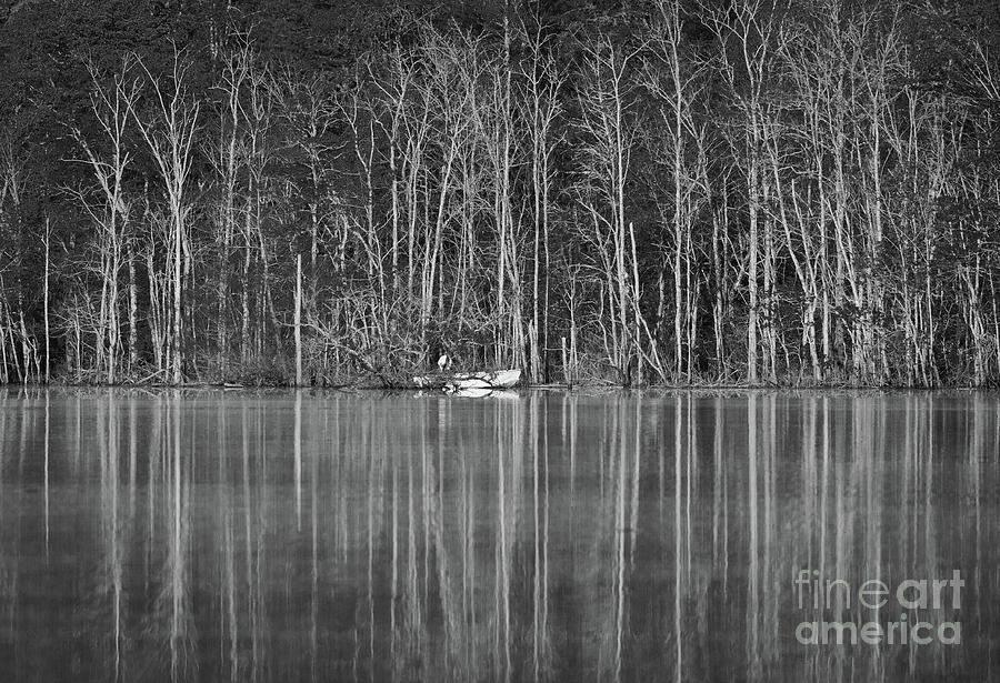Fishing Norris Lake Photograph by Douglas Stucky