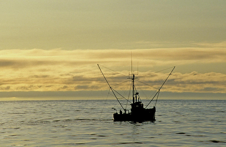 Fishing off Santa Cruz Photograph by David Shuler