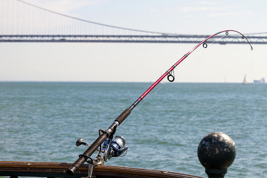 Fishing Rod on the Pier in San Francisco Bay Photograph by David Gn