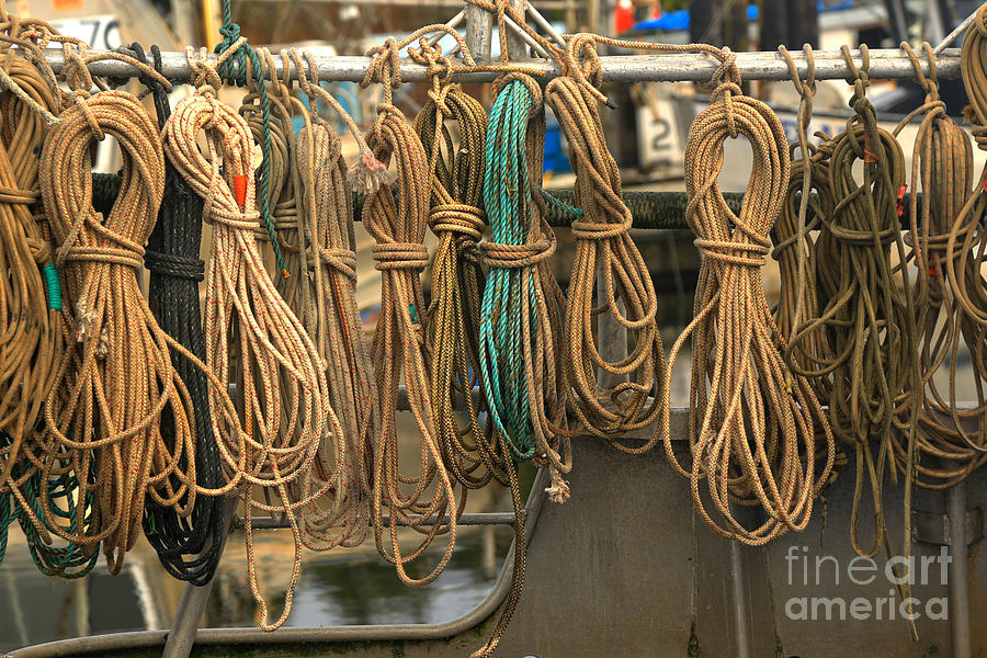Fishing Ropes And Knots Photograph by Adam Jewell
