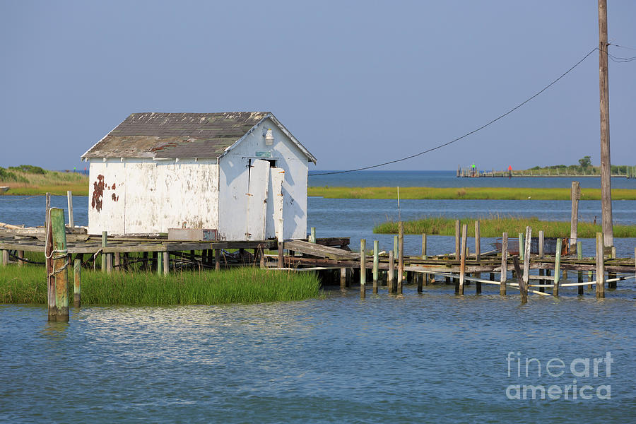 Fishing shanty on Tangier Island in Chesapeake Bay Photograph by Louise Heusinkveld