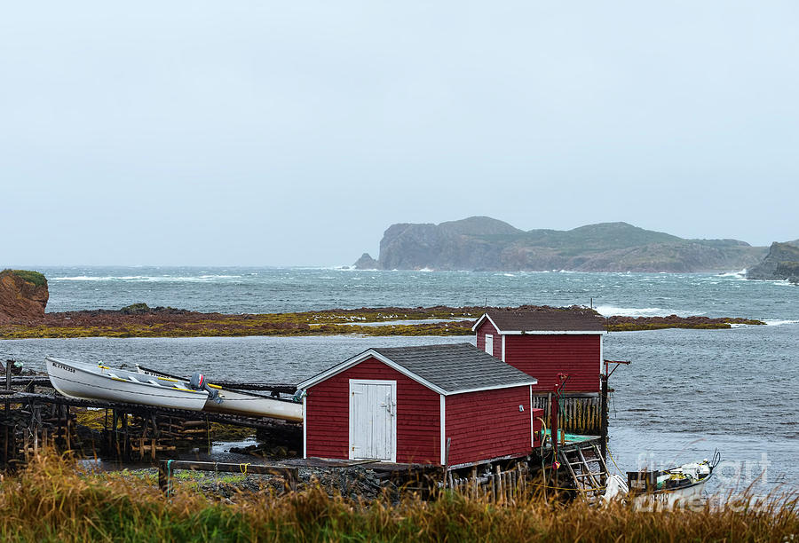 Fishing stages in Twillingate,  Newfoundland Photograph by Les Palenik