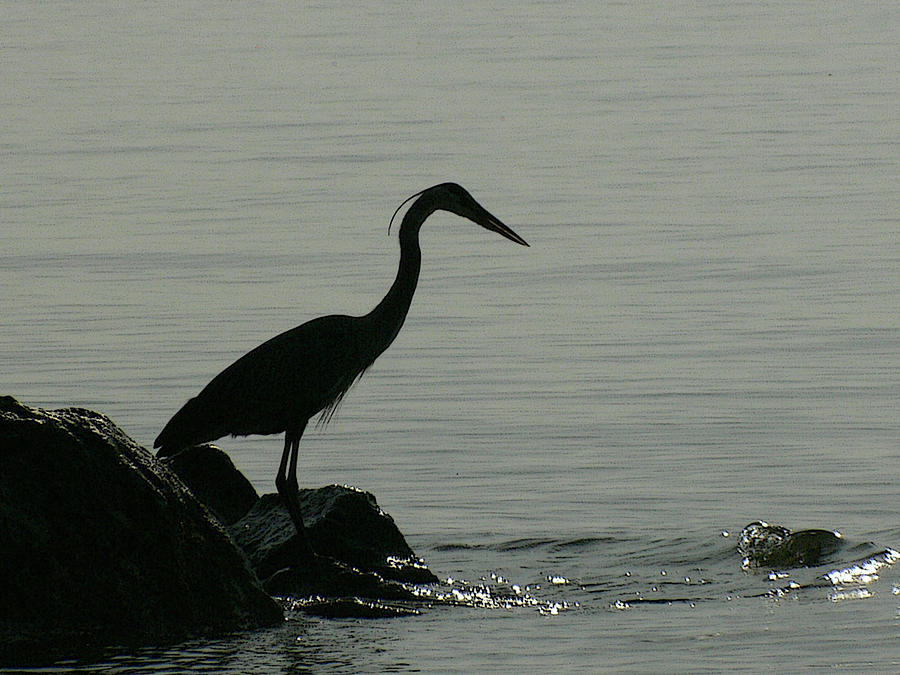 Fishing Photograph by Susan Hall | Fine Art America