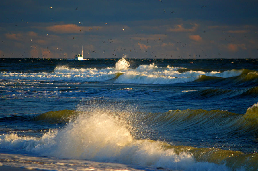 Fishing The Deep Blue Sea Photograph by Dianne Cowen Cape Cod Photography