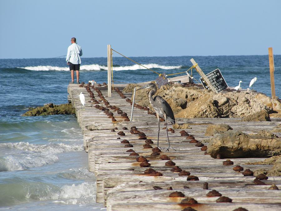 Jetty / Pier fishing