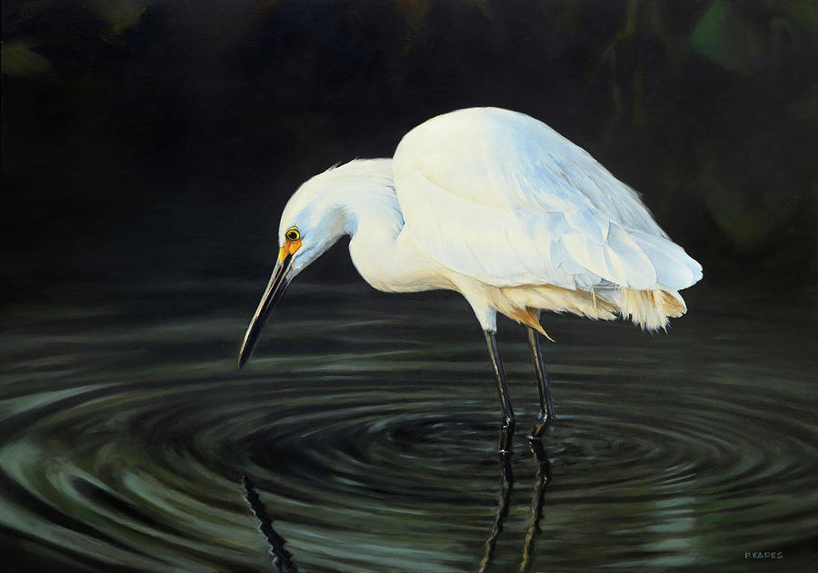 Fishing the Shadows by Peter Eades Fishing the Shadows by Peter Eades