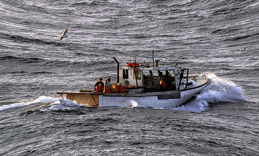 Fishing the Waters of Down East Maine Photograph by Marty Saccone