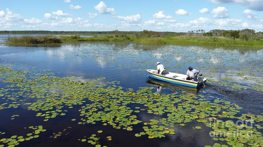Fishing Trip by Audrey Peaty Fishing Trip by Audrey Peaty