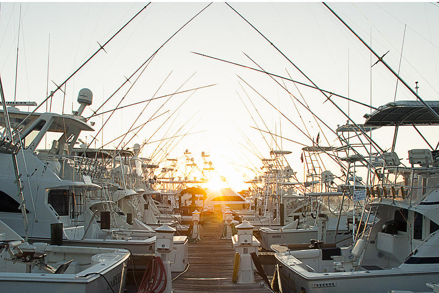Fishing Yachts Photograph by Brian Kinney