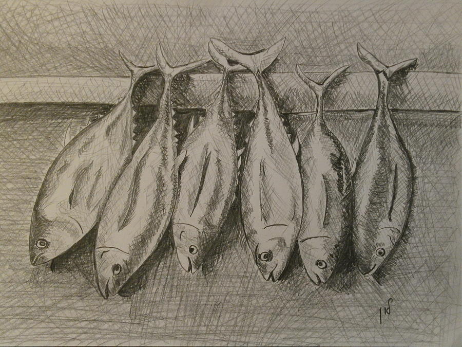 Fish Drawing - Fishmarket by Maria Woithofer
