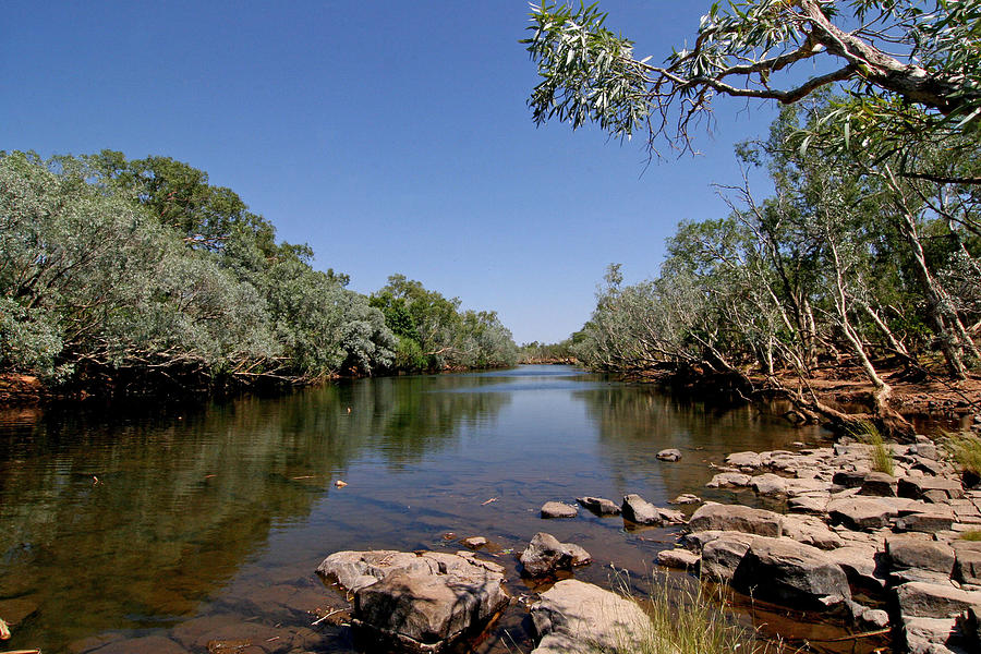 Fitzroy River Photograph by Tony Brown