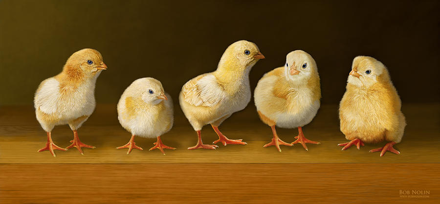 Chicken Digital Art - Five Chicks Named Moe by Bob Nolin