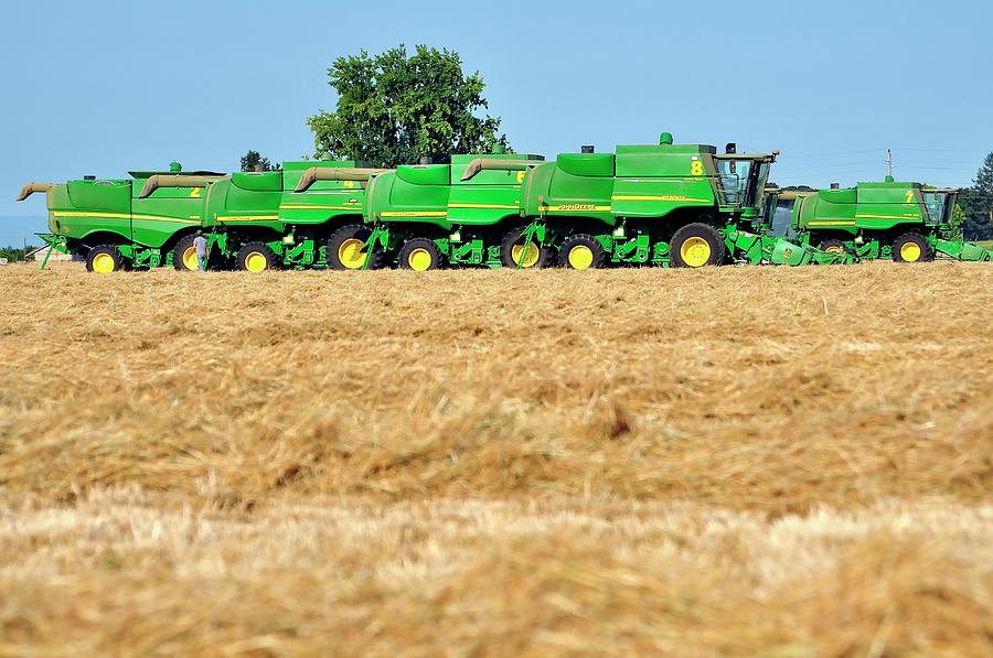 Five Combines In Field Of Grass Photograph