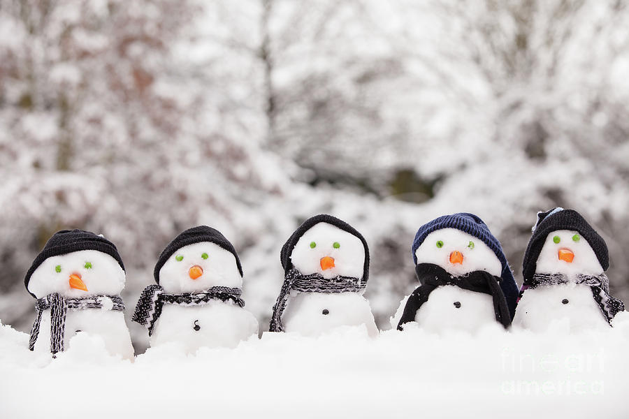 Five cute snowmen facing forward Photograph by Simon Bratt