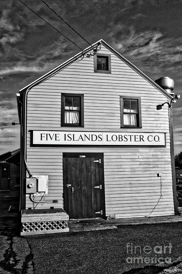 Georgetown University Photograph - Five Islands Lobster Company Black and White by John Kenealy
