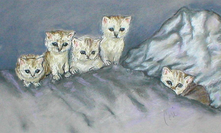 Cat Drawing - Five Kitties by Cori Solomon