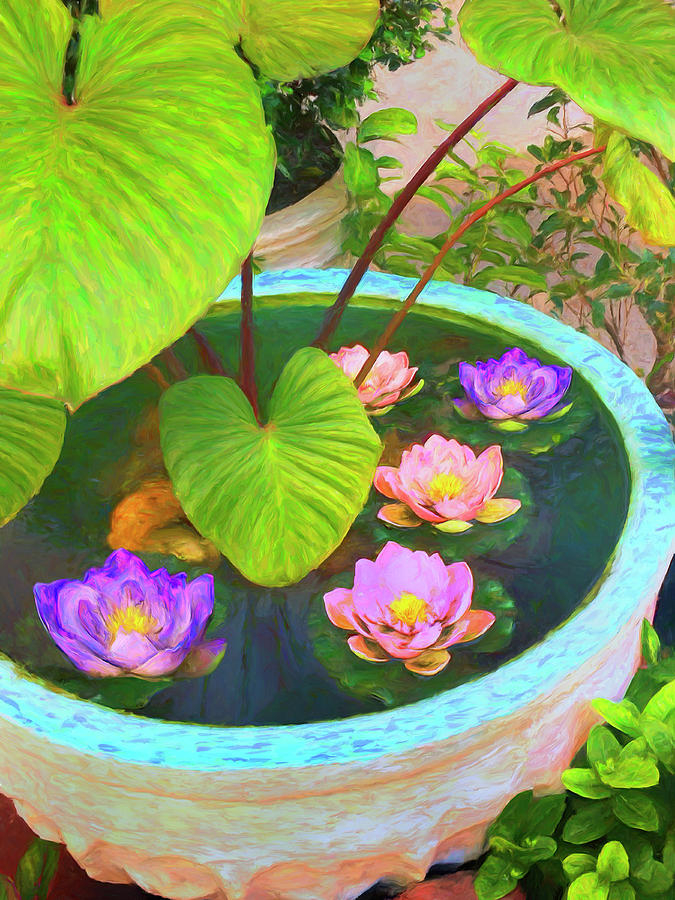 Five Lotus Blossoms Painting by Dominic Piperata