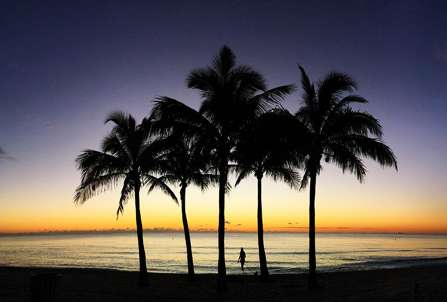 Five Palms Photograph - Five palms, an ocean and a girl with a dog. by Andrew Royston