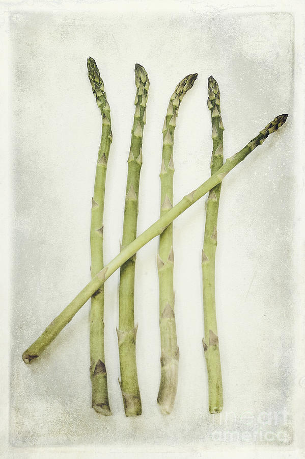Asparagus Photograph - Five by Priska Wettstein