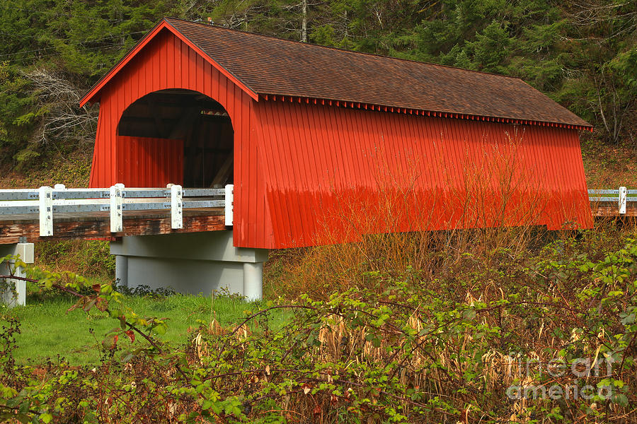 Five Rivers Covered Bridge Photograph by Adam Jewell