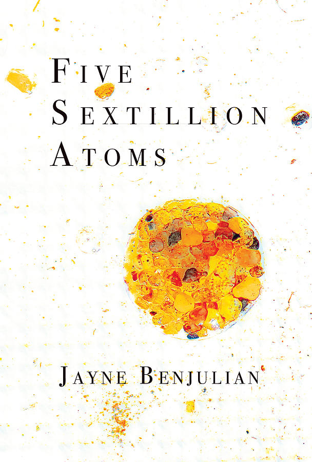 Five Sextillion Atoms book cover Photograph by Don Mitchell